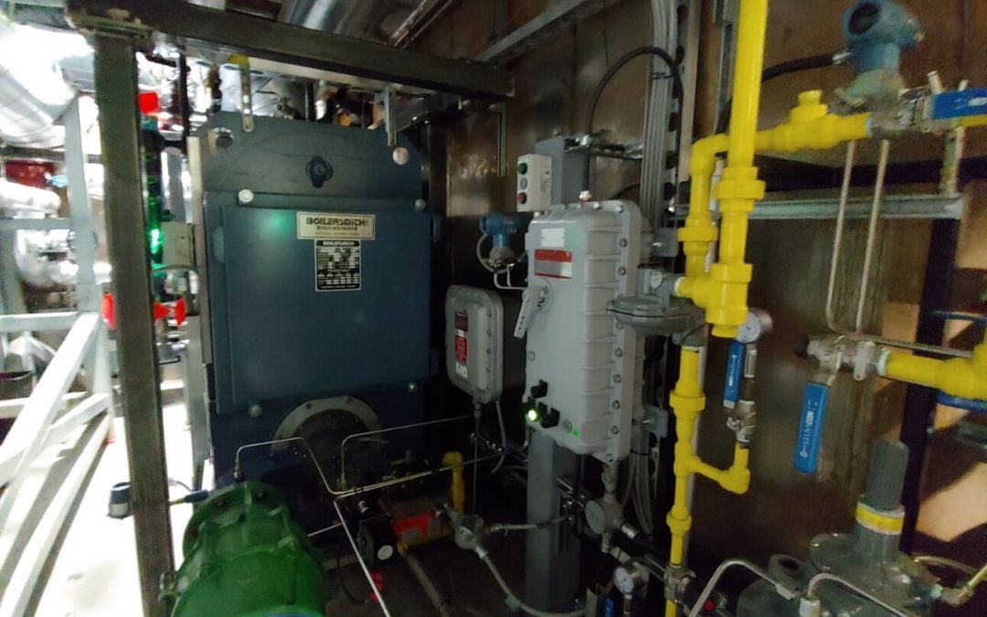 Boiler for Energy Company